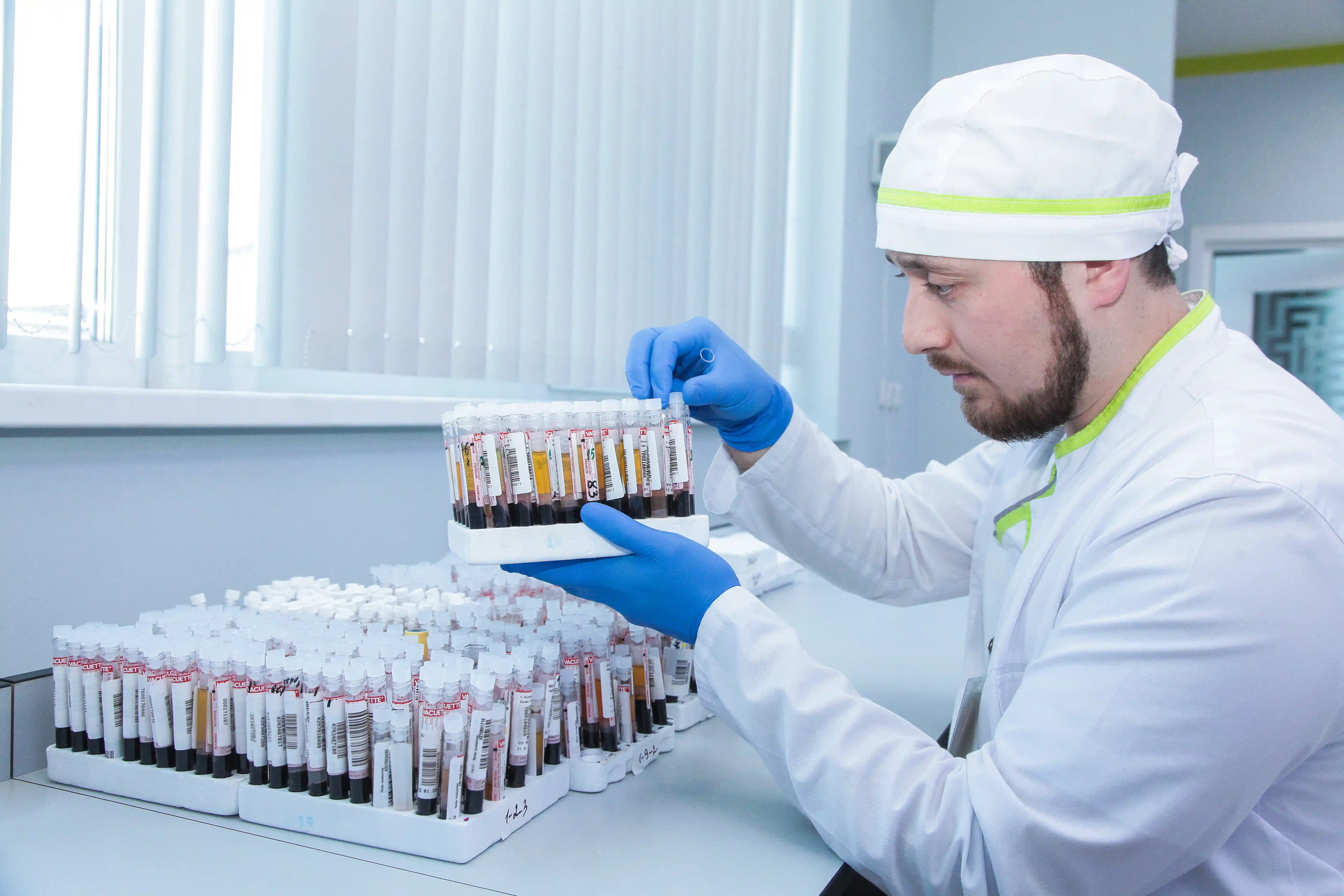 Специалист Labquest сортирует пробирки с образцами крови