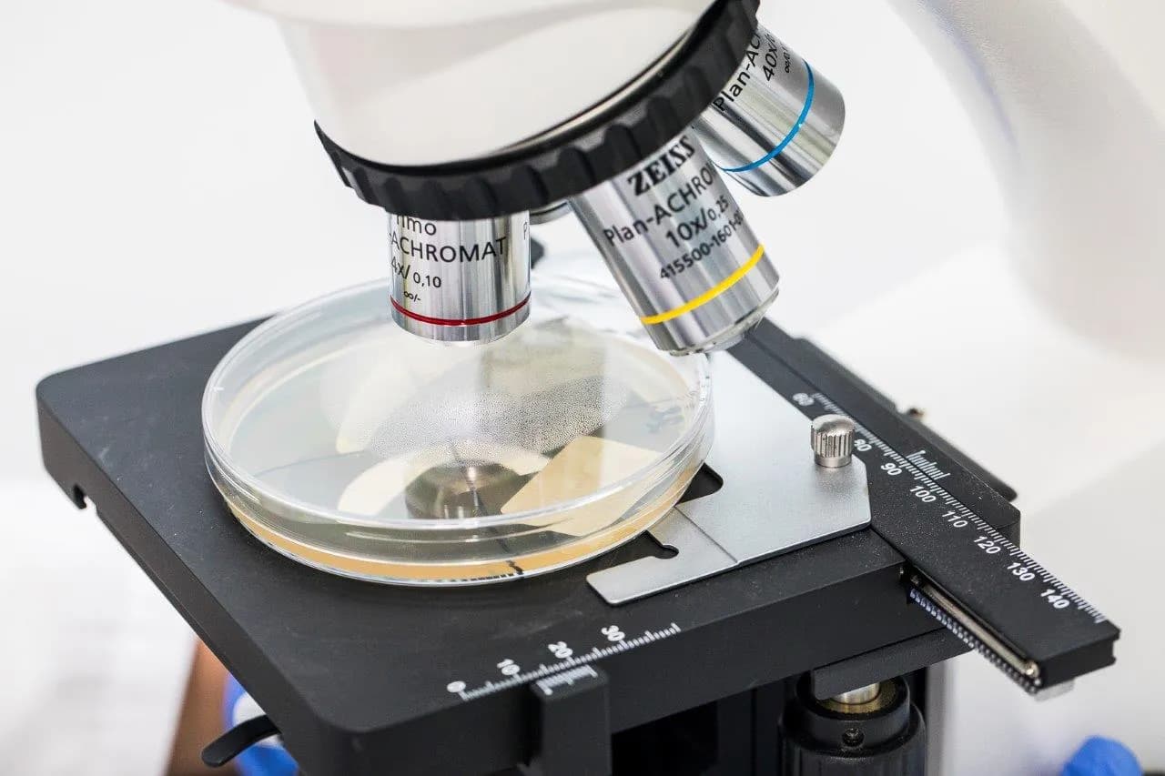 Микроскоп Zeiss с чашкой Петри крупным планом