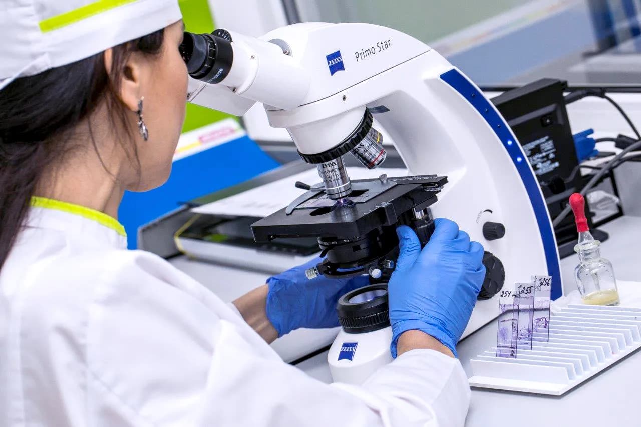 Специалист Labquest исследует образец под микроскопом Zeiss
